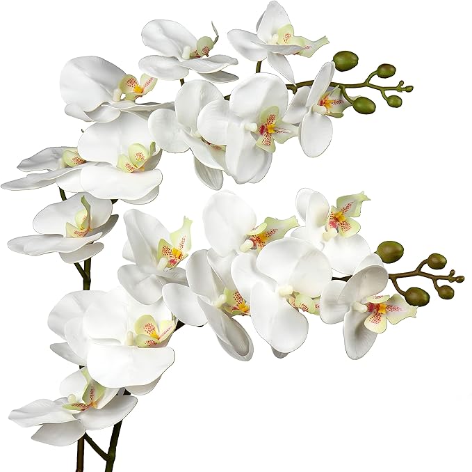 DILATATA Blooming Phalaenopsis Orchid Artificial 31.5" Long Stem with 9 Large Orchids Flowers Artificial Flowers for Decoration Home Arrangement-White Green Orchid 2 Pcs