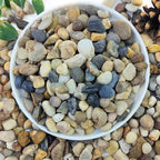 YISZM 10lbs Natural River Rocks for Plants, 3/8" Aquarium Gravel Decorative Polished Mixed Pebbles for Fish Tank, Gardening, Flower Pots, Vase Fillers, Indoor Water Fountains, Landscaping
