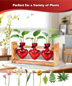 Nacome Plant Terrarium Propagation Stations: Mothers Day Gifts for Mom Plant Lovers Women Wife Daughter - 3 Bulb Glass Vase with Wooden Stand Tabletop for Hydroponics Garden Home Wall Decor(Red)