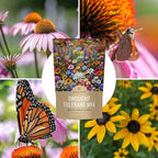Drought Tolerant Wildflowers Mix – Bulk 1 Pound Bag – Over 120,000 Open Pollinated Non-GMO Seeds – 21 Different Dryland Species