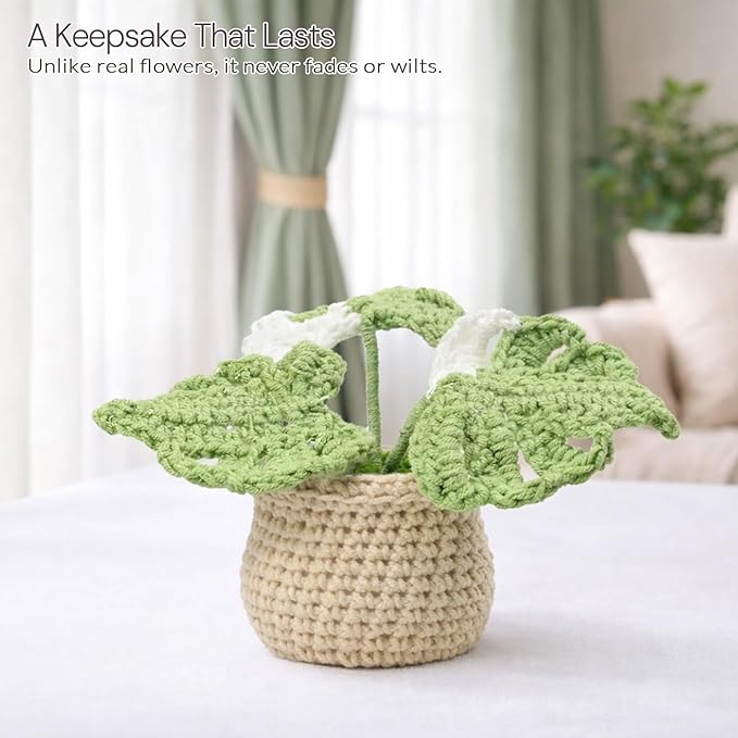 Handmade Positive Crochet Flowers, Green Gifts for Women - Inspirational, New Job, New Business Gifts for Coworker, Boss, Friend - Emotional Support Crochet Plant Monstera Pots for Desk Decor