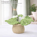 Handmade Positive Crochet Flowers, Green Gifts for Women - Inspirational, New Job, New Business Gifts for Coworker, Boss, Friend - Emotional Support Crochet Plant Monstera Pots for Desk Decor