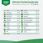 Organo Republic 22 Lettuce & Salad Greens Seeds & 25 Most Popular Herb Seeds Variety Pack Bundle, 36,400+ Non-GMO Heirloom Garden Seeds for Planting Vegetables & Herbs for Indoor & Outdoor Gardening
