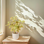 18" Fall Artificial Eucalyptus Plant,Indoor Fake Potted Plants with Ceramic Pots,Faux Plant Desk Plants for Living Room Kitchen Bathroom Office centerpieces Decor