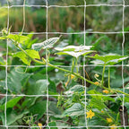 Tcamp Heavy-Duty Polyester Plant Trellis Netting 5 x 30ft (1 Pack) (5 Ft X 30 Ft)