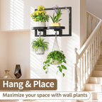 LASZOLA Black Wall Mount Plant Shelves with Hangers for Indoor Flower, Heavy Duty Metal Window Floating Planter Holders Stand, Modern Iron Picture Frame with Hook Decorative for Kitchen Bathroom