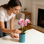 Ceramic Orchid Pot 4 Inch, Orchid Pots with Holes, Plant Pot for Repotting, Flower Planter Pot Indoor Outdoor, Green Chirstmas Gift for Women.