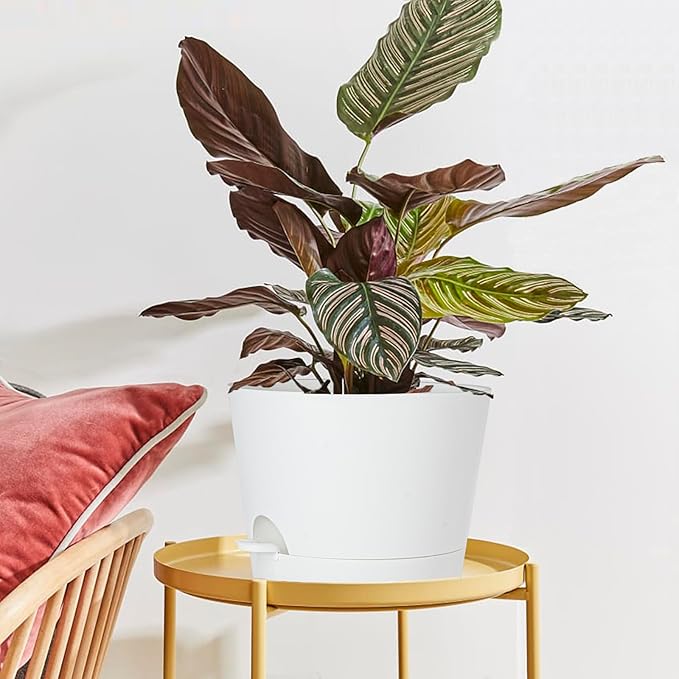 SwinDuck 12inch Large Self Watering Plant Pot, Plastic Cylinder Planter with 60Oz Deep Reservoir and Saucer for Indoor Outdoor Plants Flowers Houseplants, White