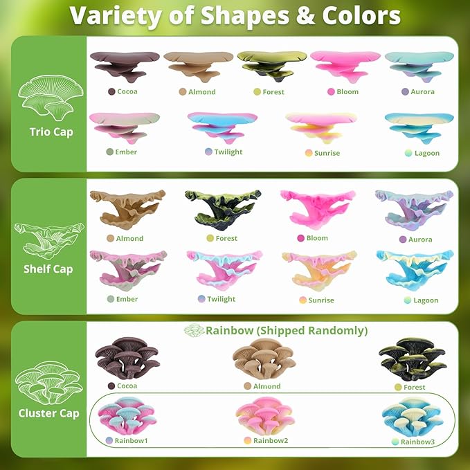 Westant Mushroom Decor for Reptile Tank, Fish Tank, Pet-Safe Bearded Dragon Tank Accessories, Realistic Terrarium Plants for Leopard Geckos, Crested Geckos, Tree Frogs, Snakes (Ember, Shelf Cap)