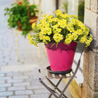 LikSoor Outdoors Artificial Flowers Spring Summer Decor Fake Petunias UV Resistant Flower Faux 12 Bundles Realistic Plastic Plant Porch Patio Window Box Garden Decoration (Yellow)