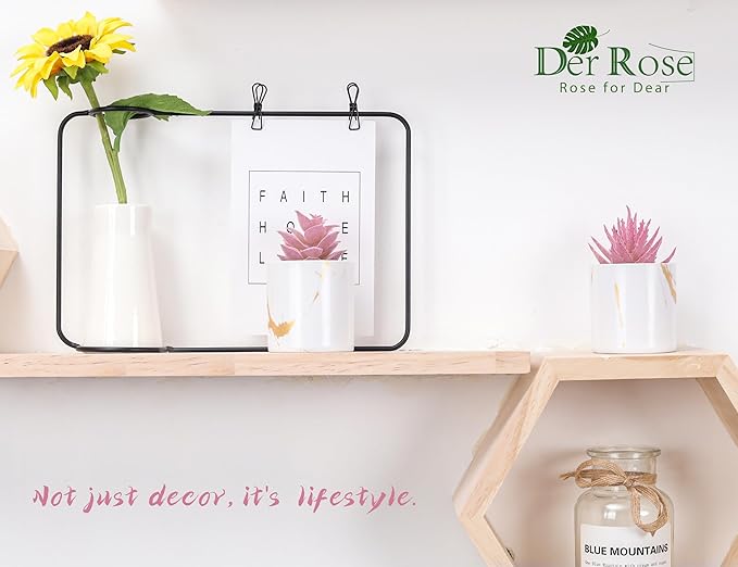 Der Rose Set of 2 Succulents Plants Artificial Mini Fake Succulents Plants for Office Desk Accessories for Women Pink Home Vanity Decor