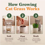 Seedboy Organic Cat Grass Seeds for Planting, Non-GMO Wheat, Oat, Rye, and Barley Cat Grass for Indoor Cats (8 oz)