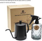 OFFIDIX Watering Can for Indoor Plants,Long Spout Metal Stainless Steel 21 oz Watering Can with 14 oz Glass Plant Mister Spray Bottle for Plant Bonsai