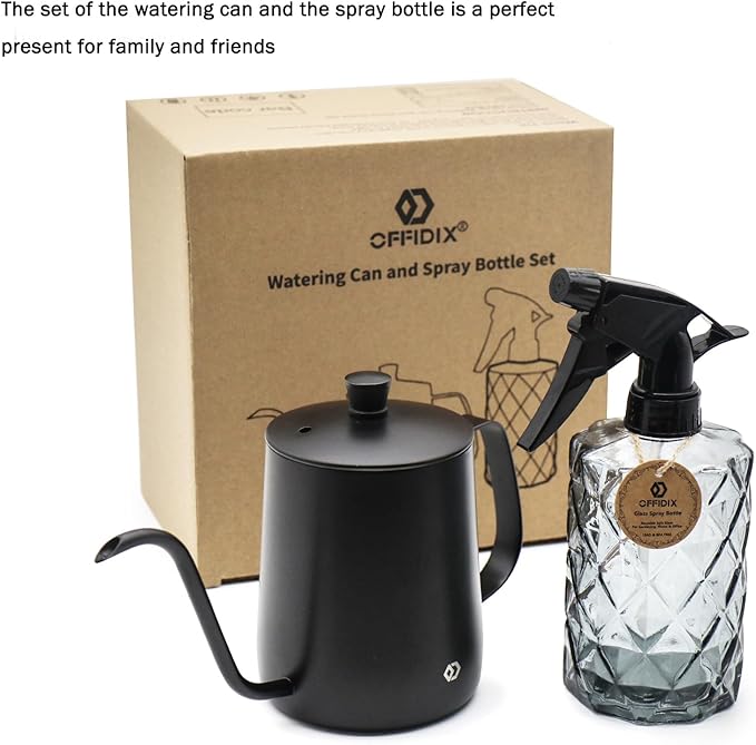 OFFIDIX Watering Can for Indoor Plants,Long Spout Metal Stainless Steel 21 oz Watering Can with 14 oz Glass Plant Mister Spray Bottle for Plant Bonsai