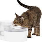 PetSafe Outlast Pumpless Cat Water Fountain 60 oz/1.7L Indoor Water Dispenser for Cats, Dishwasher Safe, Easy Assembly and Cleaning, Water Filter Included