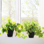 AceList 2 Pack Fake Plants, Artificial Plants for Home Decor Indoor, Realistic Fake Watermelon Leaves with Black Pot for Bedroom Living Room Shelf Outdoor Office Decor