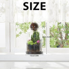 Yangbaga Large Glass Terrarium Succulent Plant Terrarium House for Plant/Moss Ball/Glass Fish Tank Table with Wood Base & Ball lid Office Home Decoration