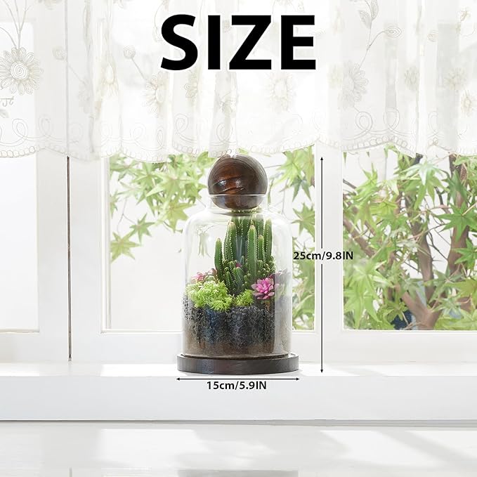 Yangbaga Large Glass Terrarium Succulent Plant Terrarium House for Plant/Moss Ball/Glass Fish Tank Table with Wood Base & Ball lid Office Home Decoration