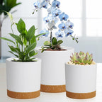 WSMKSZ 3 Pack 6/5/4 inch Cylindrical Flower Pots, Modern Small Round Plastic Plant Pots with Drainage Holes & Saucers, Clean and Refined Planter Pots for Outdoor, Indoor & Office Decor (White Brown)
