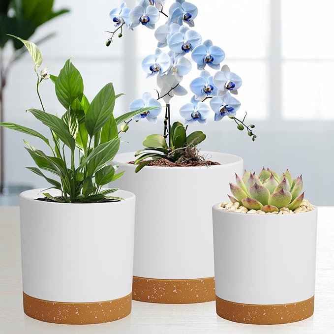 WSMKSZ 3 Pack 6/5/4 inch Cylindrical Flower Pots, Modern Small Round Plastic Plant Pots with Drainage Holes & Saucers, Clean and Refined Planter Pots for Outdoor, Indoor & Office Decor (White Brown)