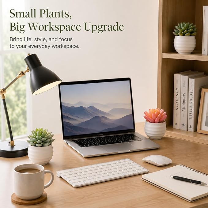 Tiita Artificial Faux Succulents in Pots Fake Plants Ceramic Arrangement Planter for Women Desk Small Mini Tiny Decoration for Home Office Desk Window