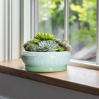 Bonsai Pots - 10 Inch Ceramic Succulent Pot with Drainage Hole and Plant Saucer, Succulent Planters for Indoor Outdoor, Round Planter Bowl, Shallow Planter, Home Decor, Gardening Gift, Green