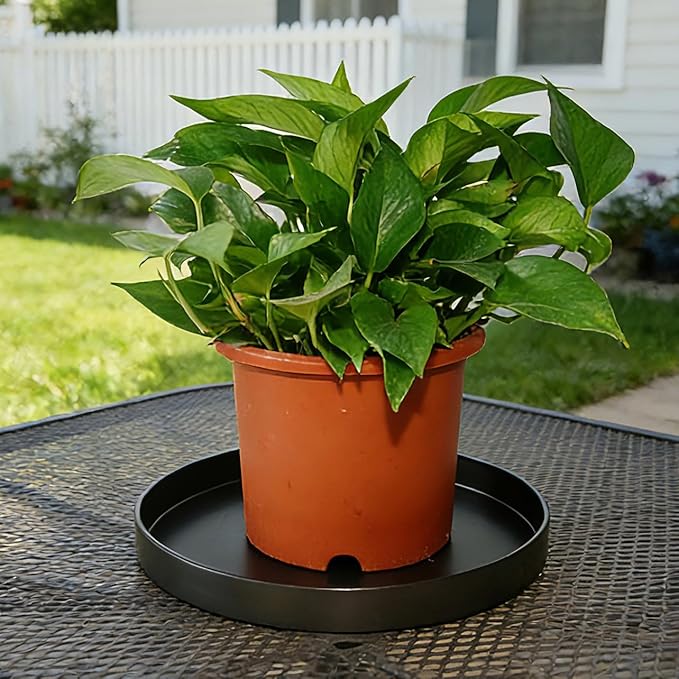 1 Pack 16 inch Plant Saucer Drip Tray, Heavy Sturdy Plastic Planter Flower Pot Drainage Tray Plate Saucers for Indoor Outdoor Garden, Plant Water Drip Trays for pots Base (16", Black)