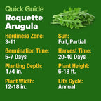 HOME GROWN Arugula Roquette Seeds 4350+ Bulk Pack Heirloom Non-GMO, High Germination, Peppery Salad Greens, Indoor Outdoor Hydroponic Garden, Microgreens, Year-Round Harvest (Eruca vesicaria)