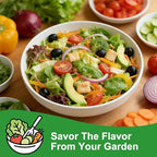 Lettuce Seeds, 10 Varieties Individual Packs, 60000+ Non-GMO Heirloom Vegetable Seeds for Planting Indoor Outdoor for Fresh Salad, Easy to Grow for Garden Beginners, Gifts for Women Men Plant Lovers.