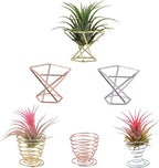 6 PCS Geometric Air Plant Holder Airplants Rack Metal Plants Stand, Airplant Stand Container Tillandsia Stainless Steel Display Racks, Wire Metal Plants Stand Planter Shelves