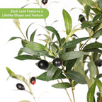 FEELEAD 6ft Faux Olive Tree – Tall Artificial Olive Tree with Natural Trunk, Fake Olive Tree Indoor Decor, Olive Plant Artificial Indoor for Home and Office