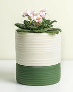 Fayoula Self Watering Pots for Indoor Plants, 6 Inch Ceramic Self Watering Plant Pot, Planter Pot with Wick Rope and Drainage Hole for African Violet Succulent Herbs (White Matte)