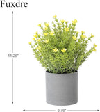 2 Pack Small Desk Plants, Artificial Bathroom Plants Decor with Thyme Flower in Vintage Melamine Pots, Faux Plants Indoor for Shelf Decor in Home Office, and Spring Decor (Yellow)