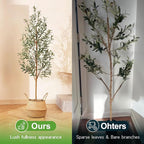 Faux Olive Tree 6FT – Tall Artificial Plants Indoor with Real Wood Trunk & Seagrass Basket, Lifelike Silk Leaves & Fruits – Potted Large Fake Trees for Home, Living Room, Bedroom & Office Decor