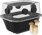 YANWEN Mushroom Growing Kit, Monotub Stackable Grow Box, Fruiting Chamber with FAE Filters, Indoor Use, 12.6 x 12.6 x 6.3 inches, Clear and Black