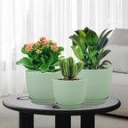 WSMKSZ Large Plant Pots 12/10/9 inch, Set of 3 Modern Decorative Plastic Planters with Drainage Holes and Saucers, Flower Pots for Indoor Outdoor Plants, Green