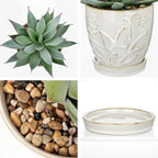 Briful Artificial Succulent Plant in White Ceramic Planter with Saucer, Small Fake Agave Plant, Faux Plant Indoor for Desk, Bathroom, Shelf, Office, Farmhouse Home Decor, 9 Inch