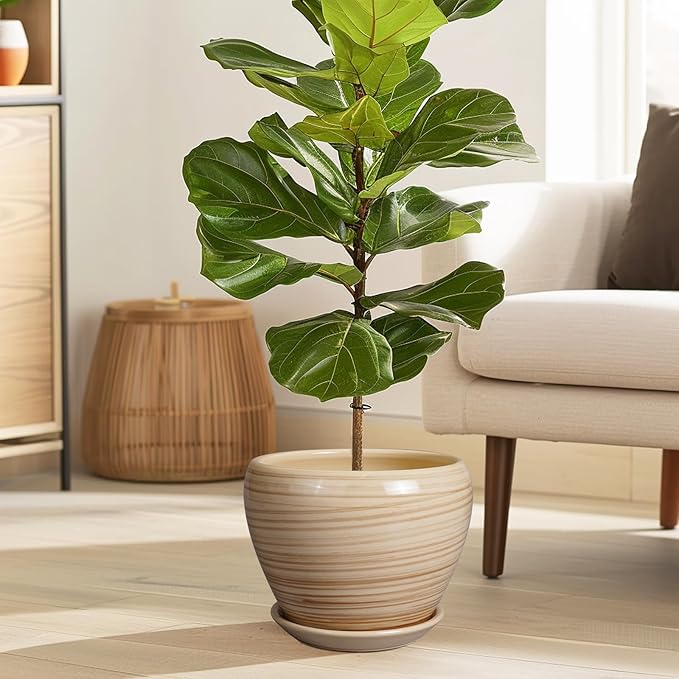 Ceramicfor Planter 8 Inch - Indoor/Outdoor Ceramic Plant Pot With Drainage Hole and Saucer, Round Modern Flower Planter for Succulents, House, Patio - Yellow