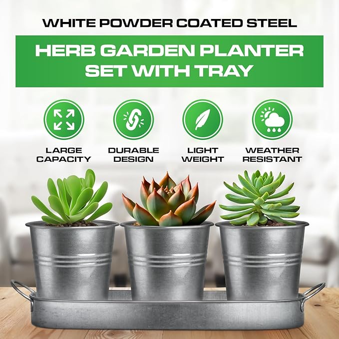 Plexon Herb Planter Indoor Garden Set of 3 with Tray, Metal Herb Pots for Indoor Plants, Round Kitchen Garden Kit Ideal for Windowsill Planter or Countertop, Galvanized Steel