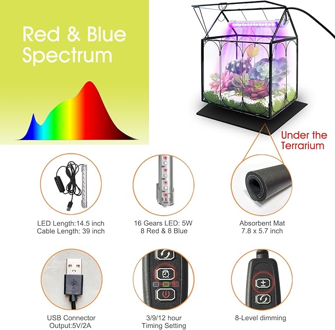 Plant Terrarium Kit with Grow Light, Rifny Small Glass Terrarium Jar with Absorbent Mat and Lid for Venus Fly Trap Succulent Live Air Plants Indoor Home Office Decor (Black, 7.1 x 4.8 x 8.8 inch)