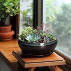 SQOWL Succulent Planters 8 Inch - Ceramic Bonsai Pots with Drainage Hole and Ceramic Saucer, Round Shallow Planter for Indoor Plant, Bowl Planter Outdoor, Desk Decor, Gift for Plant Lover, Blue-Brown