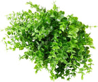 24 Bundles Outdoor Artificial Boxwood UV Resistant Fake Stems Plants, Faux Plastic Greenery for Indoor Outside Hanging Plants Garden Porch Window Box Home Wedding Farmhouse Décor