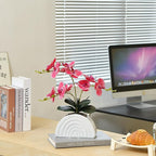 Fake Orchid Plant in White Rainbow Pot, Artificial Silk Phalaenopsis Orchid Flowers for Home Décor, Table Centerpiece, Office Desk (Rose Red)