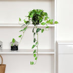 Fake Pothos Hanging Plants, 33" Potted Artificial Hanging Plant, Faux Pothos Silk Vines Hanging Plant Greenery for Home Living Room Indoor Decor
