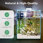 GreatBuddy 5-lb Decorative Rocks for Indoor Plants, 3/8" White Pebbles, Small Rocks for Potted Plants, Succulent, Vases, Aquariums, Fish Tanks, Garden Landscaping, Natural Polished