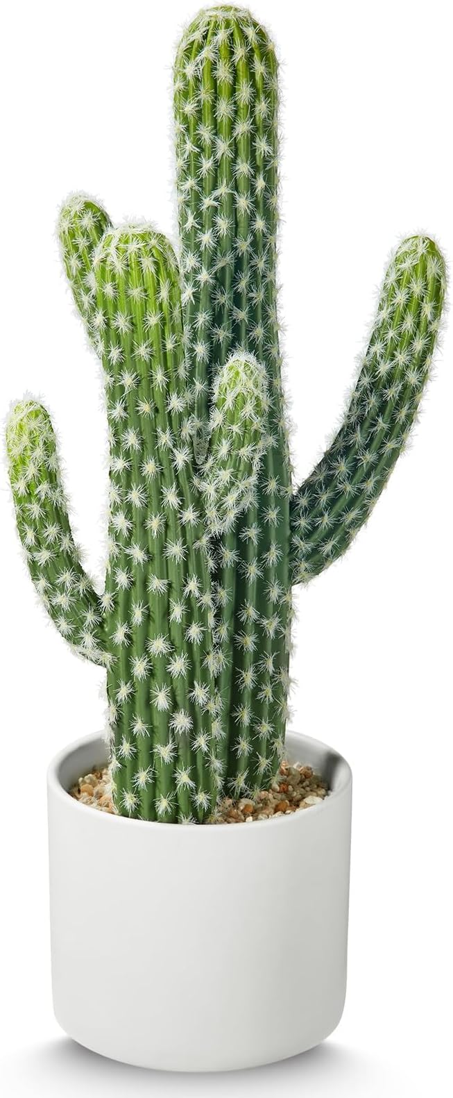 Artificial Cactus Plants - Potted Succulents in Ceramic, Faux Cacti and Succulent Decor for Home, Office Desk，Living Room-1pack