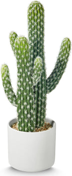 Artificial Cactus Plants - Potted Succulents in Ceramic, Faux Cacti and Succulent Decor for Home, Office Desk，Living Room-1pack