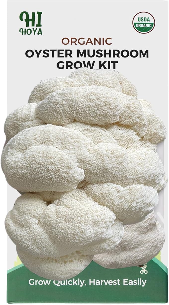 Lions Mane Mushroom Grow Kit - Organic Edible 4 lbs Mushroom Growing Kit, Grow Your Own Lion’s Mane Mushroom at Home, Handmade in USA, Non-GMO, Holiday Gardening Gift
