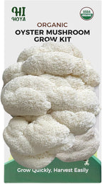 Lions Mane Mushroom Grow Kit - Organic Edible 4 lbs Mushroom Growing Kit, Grow Your Own Lion’s Mane Mushroom at Home, Handmade in USA, Non-GMO, Holiday Gardening Gift