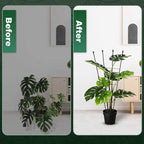 2Pack Garden Trellis for Climbing Plants Outdoor & Indoor, 47in Obelisk Trellis and Tomato cage 2 Shapes Rustproof Plant Support Indoor Plants Trellis for Potted Plants with 10pcs Colorful Butterfly